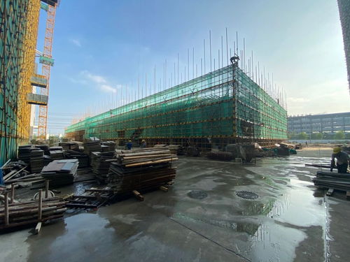 世友工業(yè)城 輕工智能裝備園工程進(jìn)度現(xiàn)場(chǎng)直擊